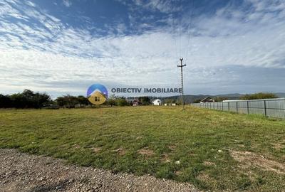 Teren de vanzare 1800 mp – Dumbrava Rosie - 5