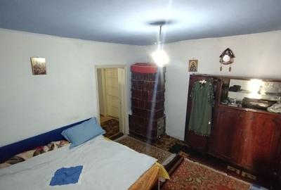 Teren pentru casă verde langa promenada din Ovidiu - 12