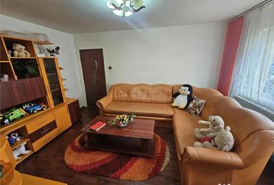 Apartament cu 2 camere nedecomandat în Calea Caransebeșului