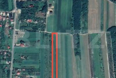 Teren de 8575 mp, în Viile Satu Mare - 1