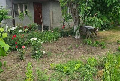 Casă cu Teren 2 Mp în Parepa-Rușani - 2