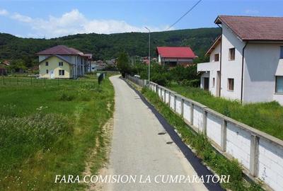 TEREN 2510 MP, PRETABIL DEZVOLTARE REZIDENTIALA - 9