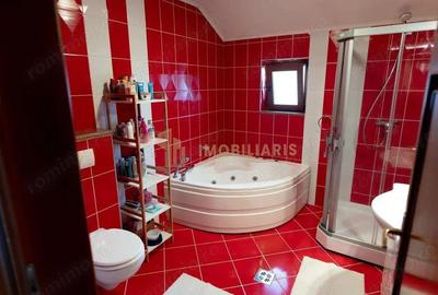 Casa individuala zona Branduselor - 10