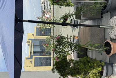 Apartament 3 camere Mc Donald s 97 mp - 3