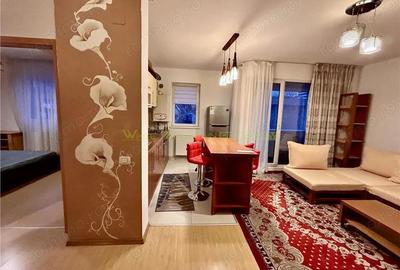 Studio de inchiriat AlphaVille- Carpatilor Brasov - 13