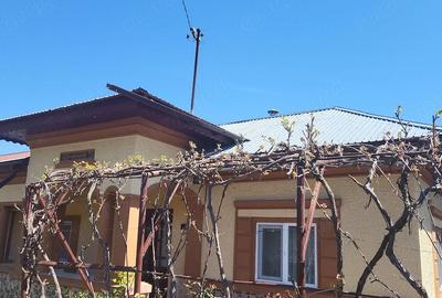 Casă cu 4 camere cu Teren 1200 Mp în Neajlovu - 9
