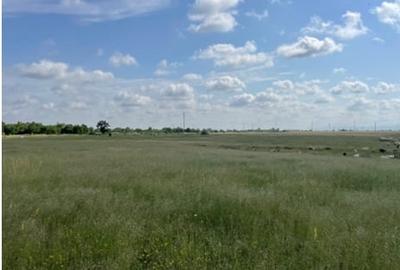 Teren intravilan Loc. Sanleani, Jud. Arad - 2