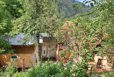 Casă cu 4 camere în Posada - 8