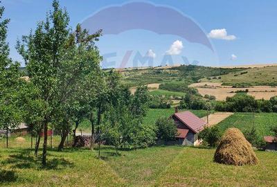 Casa de vanzare in DABACA / teren 2040 mp - 4