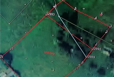 Teren Construcții intravilan de 4100 mp, în Zvoriștea - 1