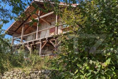 Casa 3 camere si teren 4873 mp in Pietroasa, Moldovenesti - 1