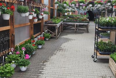 Casă cu 3 camere cu Teren 1700 Mp în Lancrăm - 2