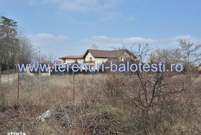Teren de 500 mp, în Balotești - 4