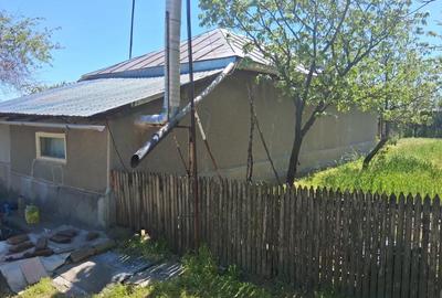 Casă cu 4 camere cu Teren 3400 Mp în Central - 5