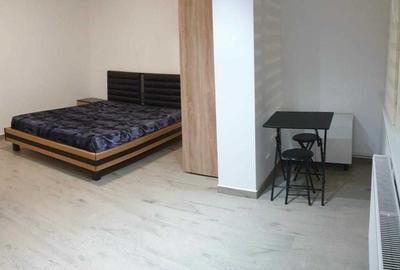 Garsonieră semidecomandată în Calea București - 8