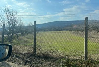 Spațiu comercial, în Călinești - 8