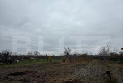 Proprietate completa in Sacuieni- Doua Case + Anexe - 13