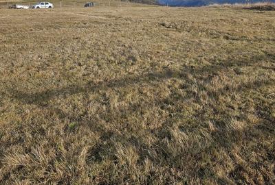 Spațiu comercial, în Măguri - 5