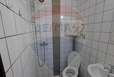 Garsoniera moderna de inchiriat Moise Nicoara - Piata Alb... - 2