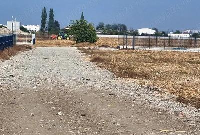 Teren de 8000 mp, în Măgurele