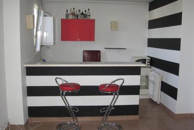 Ion Mihalache, Piata Domenii, garsoniera dubla, centrala proprie - 3