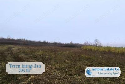 Teren de 703 mp, în Paleu - 1