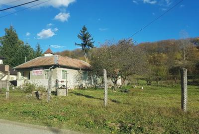 Casă individuală cu 3 camere cu Teren 3365 Mp în Bughea de Jos - 3