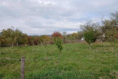 Casă cu 1 camere în Crocna - 6