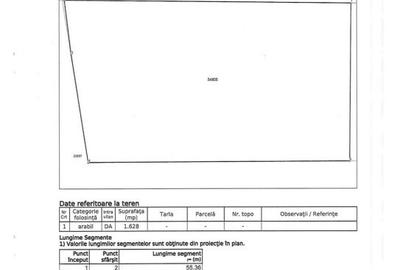 Moldova Noua, Teren Drept Intravilan 1628 Mp., pe malul Duna - 7