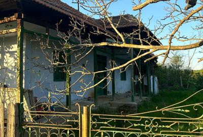 Teren de 2000 mp, în Dumitrești - 2