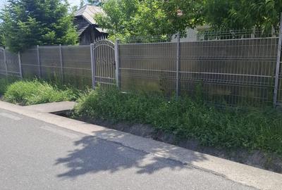 Casă individuală cu 3 camere cu Teren 3923 Mp în Govora - 7