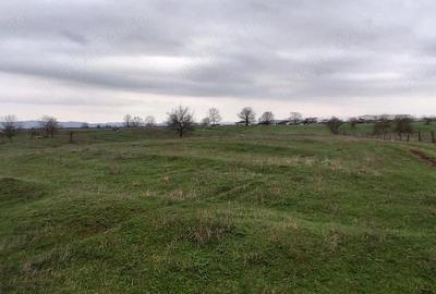 Teren de 3700 mp, în Central - 1