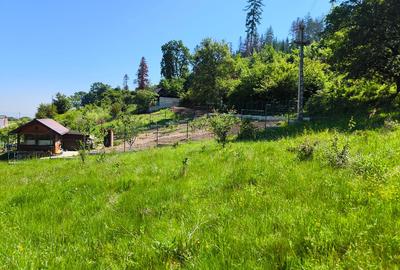 Teren intravilan în Cristian - Lunca Gării. - 2