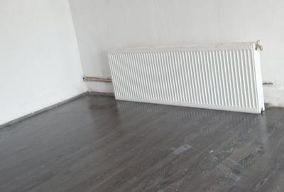 Vand casa, curte, spalatorie auto, tarc, magazin - 3