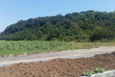 Corbeanca - Ostratu- Str Arena Park 700 mp langa padure - 6