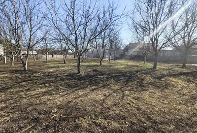 Spațiu comercial, în Mărginenii de Sus