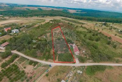 De vanzare Teren 3995mp intravilan Saldabagiu de Munte