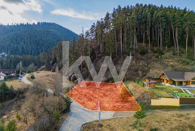 Teren Construcții intravilan de 1000 mp, în Central - 2