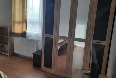Apartament cu 2 camere decomandat în Turnișor - 2