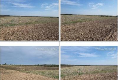 Teren extgravilan agricol Uliesti, ID: R2263433 - 4