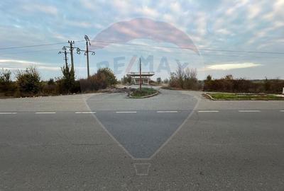 Teren Construcții intravilan de 20000 mp, în Vest - 1