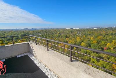 BANEASA SHOPPING CITY (ZOO)-PENTHOUSE amplu, 600 mp utili, vedere deschisa! - 28