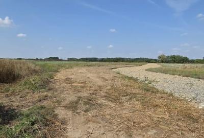 Teren Construcții intravilan de 406 mp, în Lazuri - 1