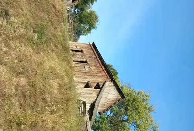 Casa batraneaca de vanzare - 1