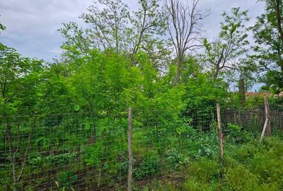 Teren Construcții intravilan de 1200 mp, în Smirna - 1