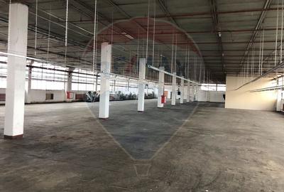 Spațiu industrial, de 400 mp, în Aeroport