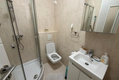 Apartament cu 3 camere semidecomandat, mobilat în Politehnica - 8