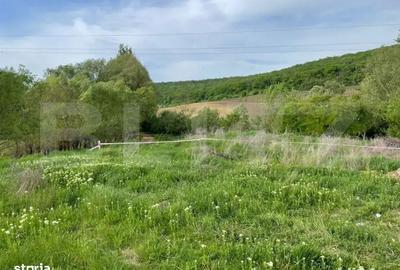 Spațiu comercial, în Remetea - 1