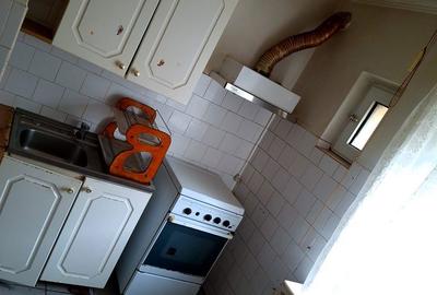 Apartament cu 3 camere decomandat în Găvana - 15