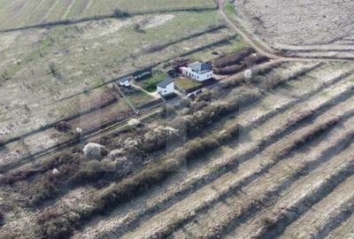 Teren de 6400 mp, în Cetate - 2